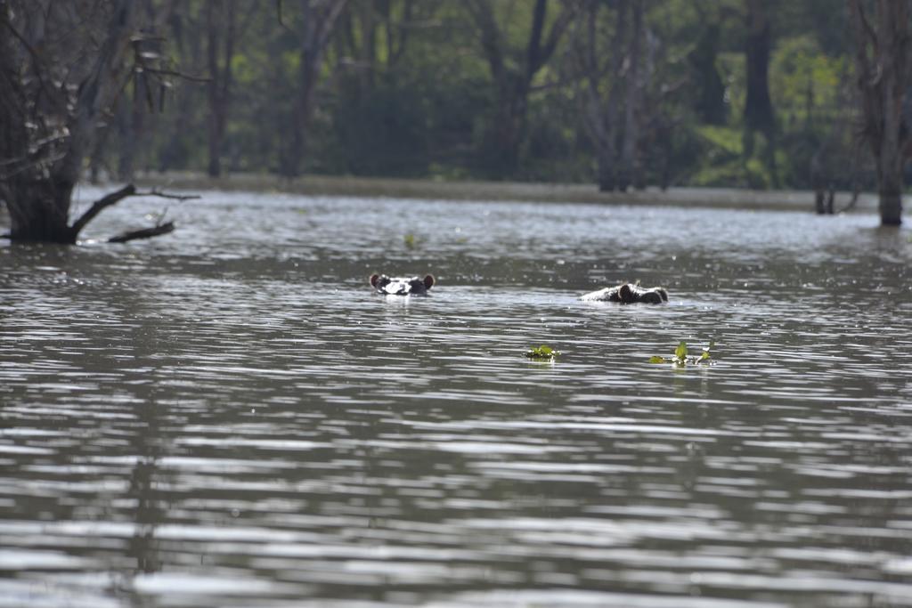 Burch'S Resort Naivasha Dış mekan fotoğraf